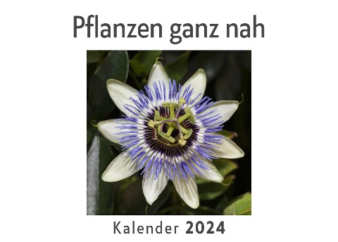 Pflanzen ganz nah (Wandkalender 2024, Kalender DIN A4 quer, Monatskalender im Querformat mit Kalendarium, Das perfekte Geschenk) - Anna Müller