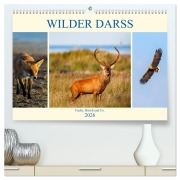 Wilder Darß - Fuchs, Hirsch und Co. 2026 (hochwertiger Premium Wandkalender 2026 DIN A2 quer), Kunstdruck in Hochglanz - Daniela Beyer (Moqui)