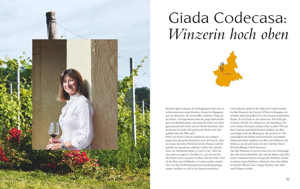 InsideView 5