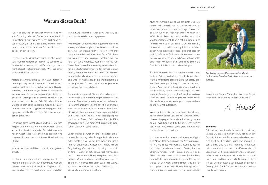 InsideView 3