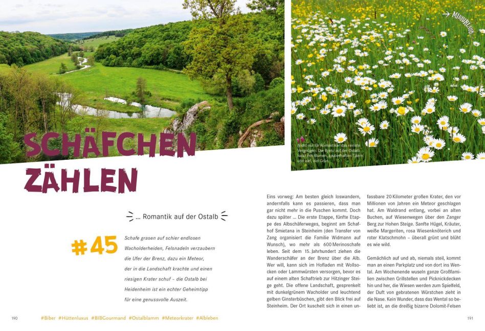 InsideView 13
