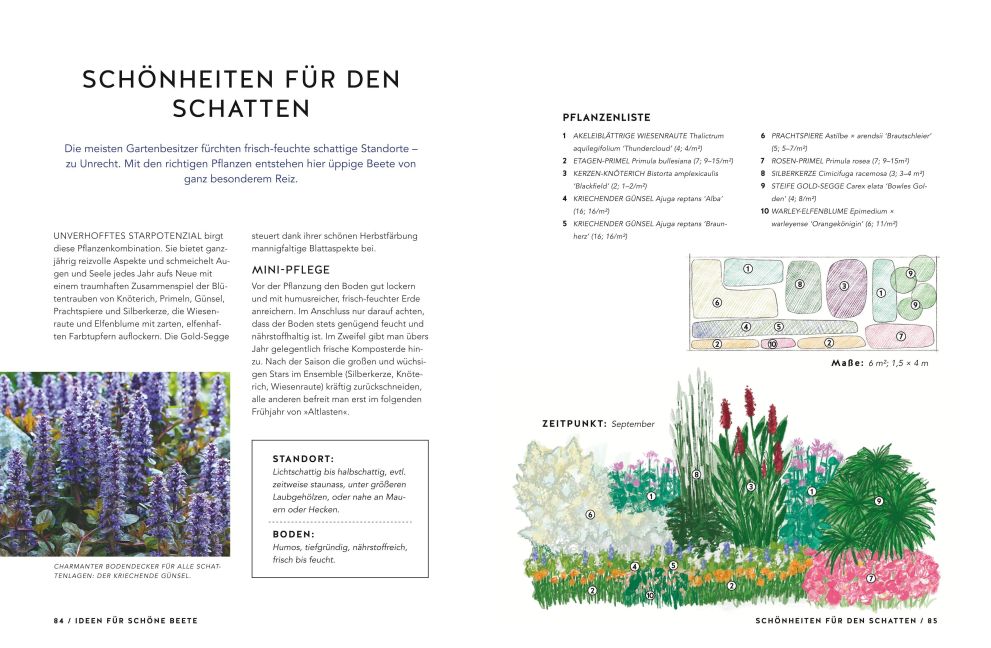 InsideView 6
