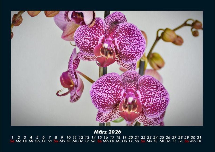 InsideView 7