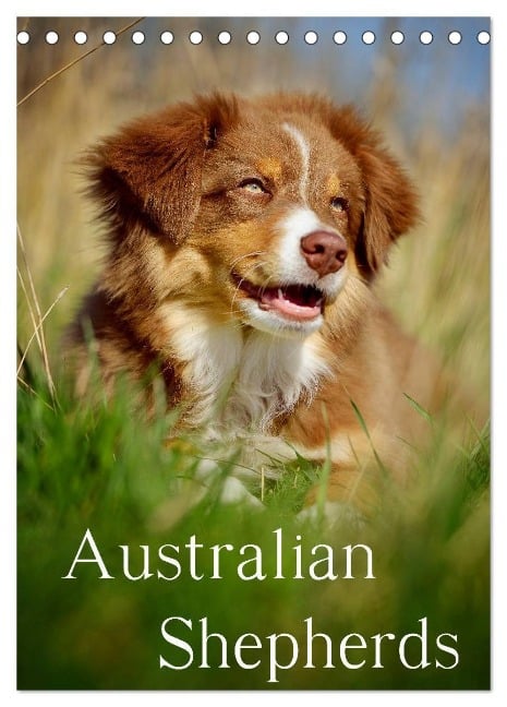 Australian Shepherds (Tischkalender 2025 DIN A5 hoch), CALVENDO Monatskalender - Nicole Noack