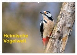 Cover-Bild zum Titel 'Heimische Vogelwelt (Wandkalender 2027 DIN A2 quer), CALVENDO Monatskalender' von 'Gerhard Käfer'