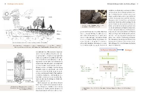 InsideView 1