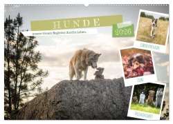 Cover-Bild zum Titel 'Hunde, unsere treuen Begleiter durch's Leben. (Wandkalender 2026 DIN A2 quer), CALVENDO Monatskalender' von 'VogtArt VogtArt'
