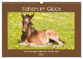 Fohlen im Glück - Wunderbare Welt der Pferdekinder (Wandkalender 2024 DIN A3 quer), CALVENDO Monatskalender - Meike Bölts