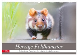 Herzige Feldhamster - farbenfrohe Nagetiere im städtischen Lebensraum (Wandkalender 2026 DIN A2 quer), CALVENDO Monatskalender - Perdita Petzl