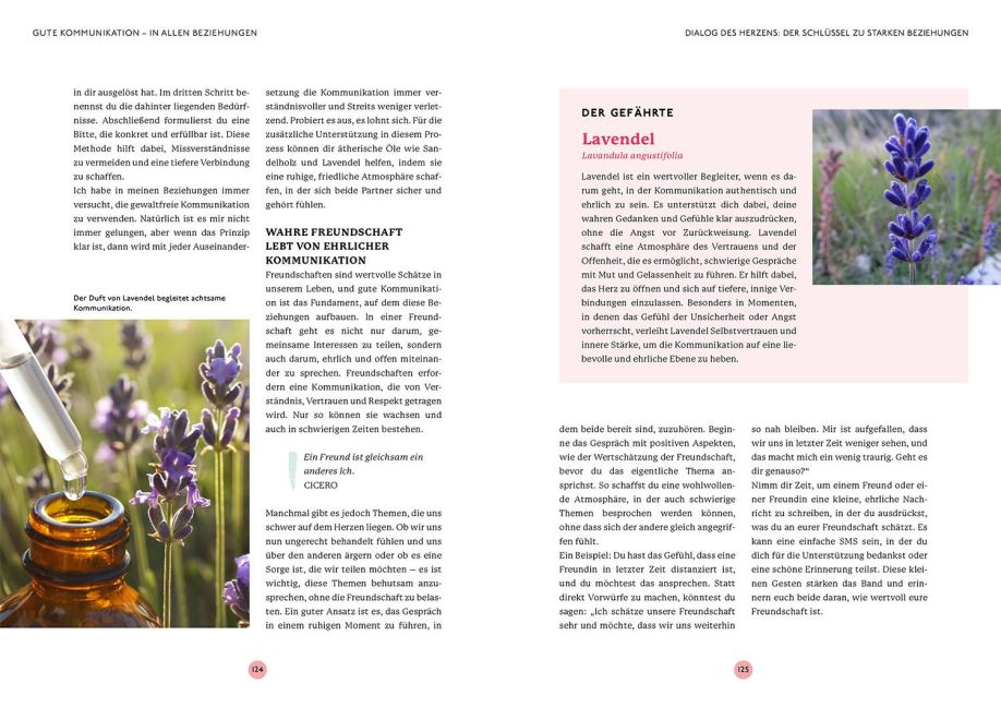 InsideView 5