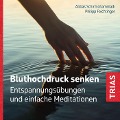 Bluthochdruck senken (Audio-CD mit Booklet) - Abbas Schirmohammadi, Philipp Feichtinger