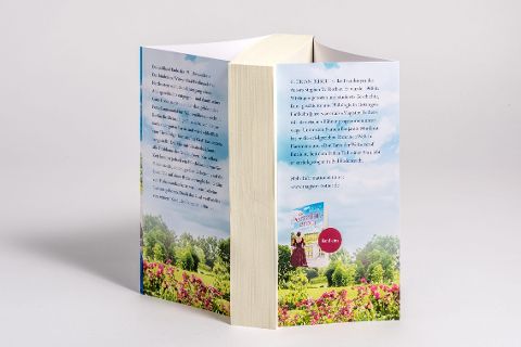 InsideView 4