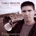 Peregrinations - Fabrice/Gouin/Ahr/Gillmant/Via Musica Millischer