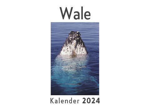 Wale (Wandkalender 2024, Kalender DIN A4 quer, Monatskalender im Querformat mit Kalendarium, Das perfekte Geschenk) - Anna Müller