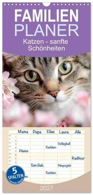 Familienplaner 2027 - Katzen - sanfte Schönheiten mit 5 Spalten (Wandkalender, 21 x 45 cm) CALVENDO - Daniela Bertschi