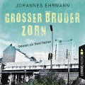 Cover-Bild zum Titel 'Großer Bruder Zorn' von 'Johannes Ehrmann'