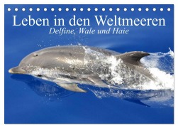Leben in den Weltmeeren. Delfine, Wale und Haie (Tischkalender 2026 DIN A5 quer), CALVENDO Monatskalender - Elisabeth Stanzer