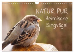 Cover-Bild zum Titel 'NATUR PUR Heimische Singvögel (Wandkalender 2026 DIN A4 quer), CALVENDO Monatskalender' von 'Karin Dietzel'