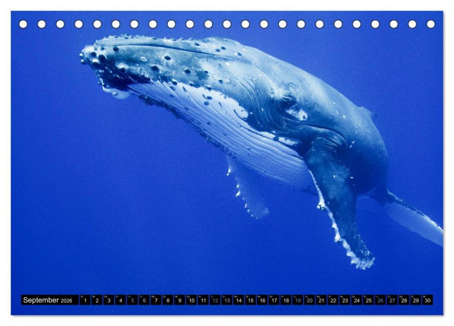 InsideView 14