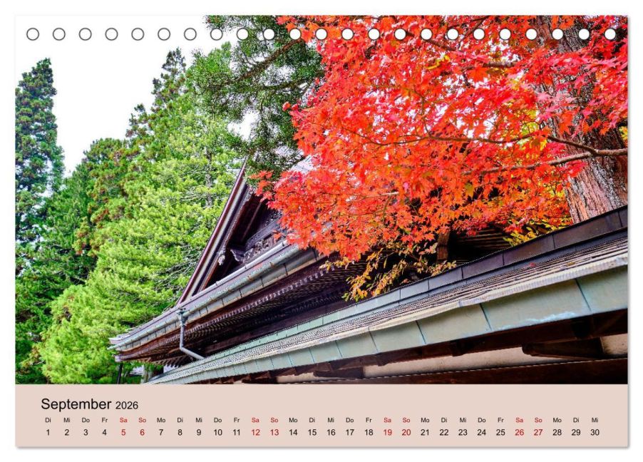 InsideView 14