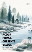 Cover-Bild zum Titel 'Acqua Ferma, Corrente Veloce' von 'Iopeia English'