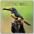 Exotik Birds - Exotische Vögel 2024 - 16-Monatskalender - Gifted Stationery Co. Ltd