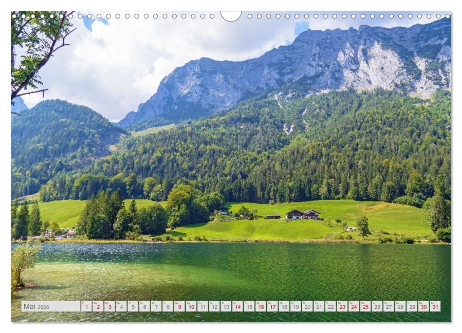 InsideView 10