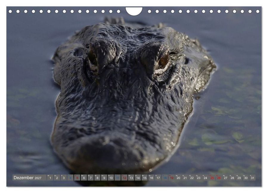 InsideView 4