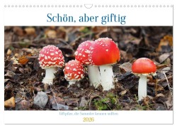 Cover-Bild zum Titel 'Schön, aber giftig. Giftpilze, die Sammler kennen sollten. (Wandkalender 2026 DIN A3 quer), CALVENDO Monatskalender' von 'Rudolf Bindig'