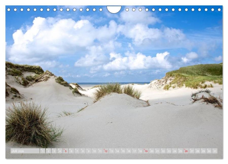 InsideView 12