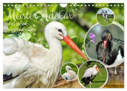 Cover-Bild zum Titel 'Meister Adebar und seine Verwandten (Wandkalender 2026 DIN A4 quer), CALVENDO Monatskalender' von 'Claudia Kleemann'