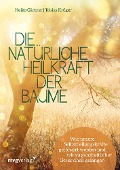 Cover-Bild zum Titel 'Die natürliche Heilkraft der Bäume' von 'Tobias Krüger, Heiko Gärtner'