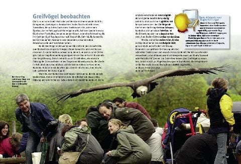 InsideView 3