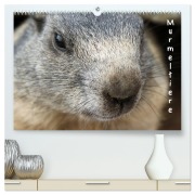 Murmeltiere (hochwertiger Premium Wandkalender 2026 DIN A2 quer), Kunstdruck in Hochglanz - Andrea Pons