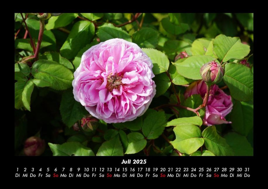 InsideView 11