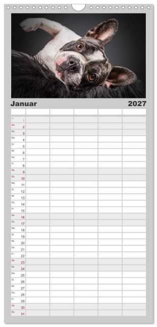 InsideView 5