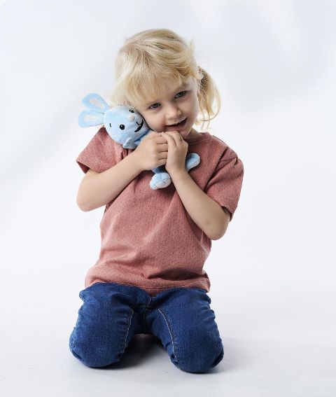 InsideView 4
