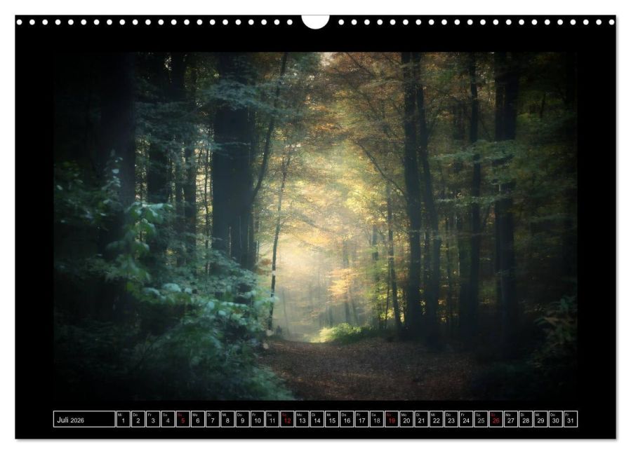 InsideView 12