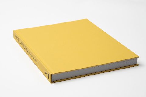InsideView 6