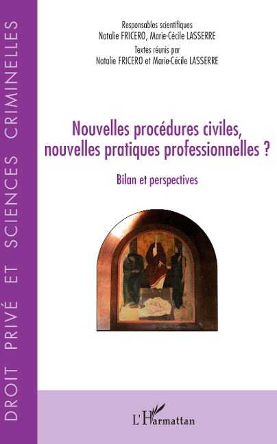 Nouvelles procédures civiles, nouvelles pratiques professionnelles ? - Natalie Fricero, Marie-Cécile Lasserre