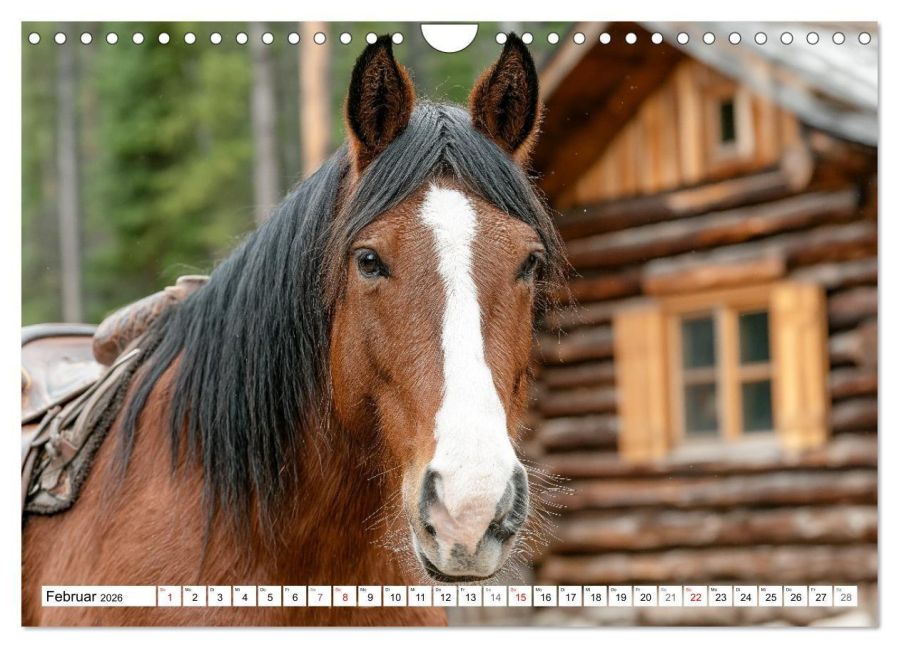 InsideView 7