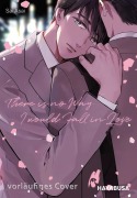 Cover-Bild zum Titel 'There is no Way I would Fall in Love' von 'Sai Asai'