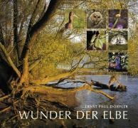 Wunder der Elbe - Ernst Paul Dörfler