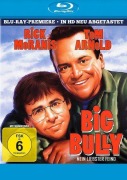 Cover-Bild zum Titel 'Big Bully - Mein liebster Feind' von 'Mark Steven Johnson, David Newman'