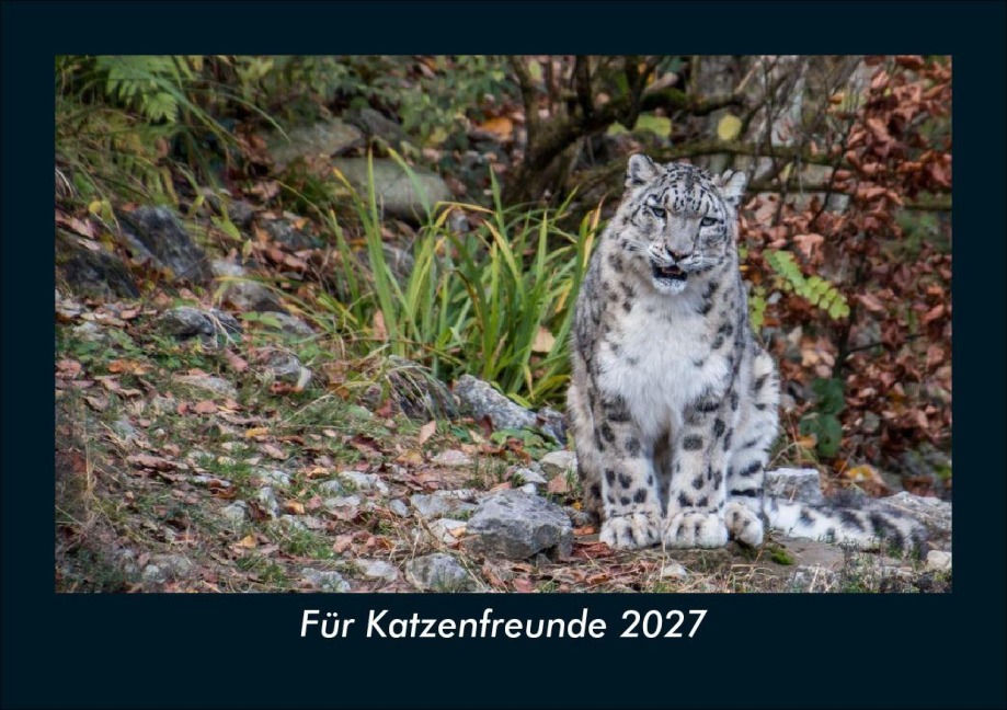 Für Katzenfreunde 2027 Fotokalender DIN A5 - Tobias Schmitt, Kevin Heber