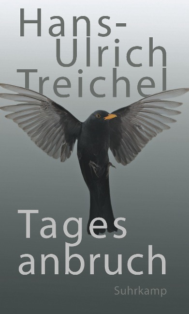 Tagesanbruch - Hans-Ulrich Treichel
