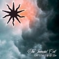 Cover-Bild zum Titel 'THE DARK AGE OF LOVE (2022 Reissue)' von 'This Immortal Coil'