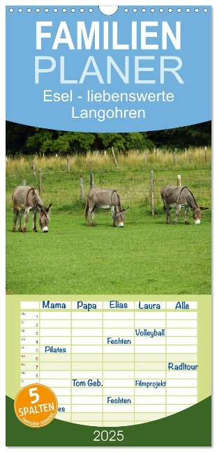 Familienplaner 2025 - Esel - liebenswerte Langohren mit 5 Spalten (Wandkalender, 21 x 45 cm) CALVENDO - Christine Hutterer