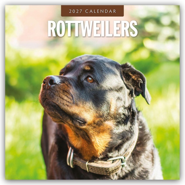 Rottweilers - Rottweiler 2027 - 16-Monatskalender - Robin Red
