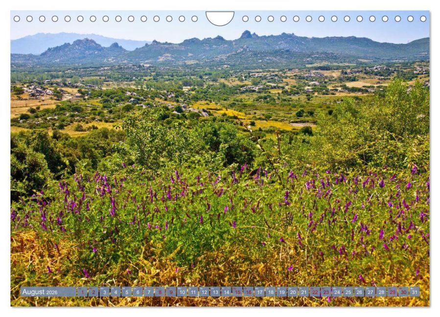 InsideView 13